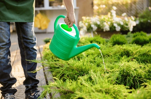 The most effective ways to manage water usage in landscaping